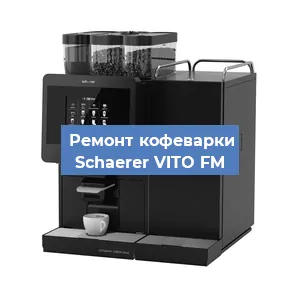 Чистка кофемашины Schaerer VITO FM от кофейных масел в Нижнем Новгороде